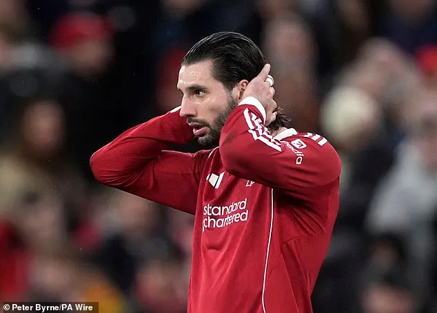 乐鱼官网-索博:我理解球迷的愤怒,但请你们依然站在我们身后